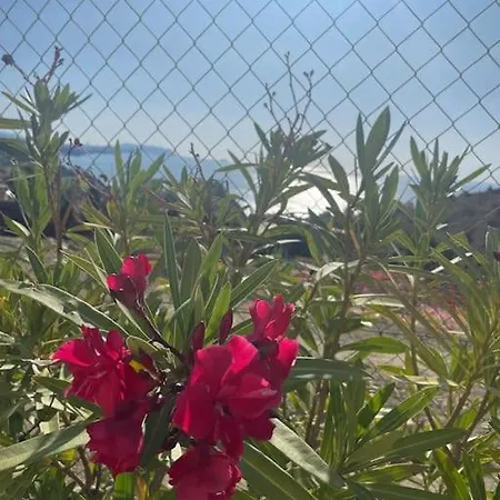 Del Sol Villa Alicante